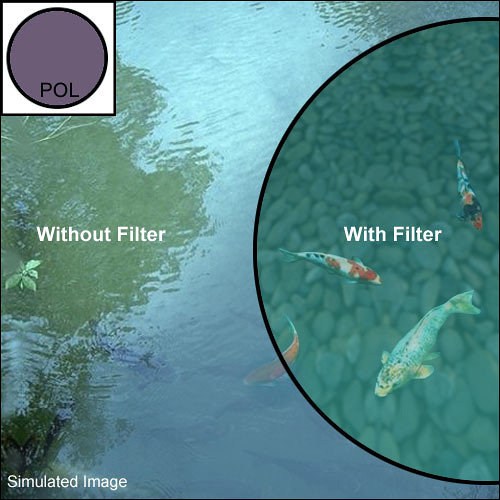 Schneider 4 x 5.65 Circular True-Pol Circular Polarizer Filter
