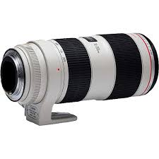 Canon EF 70-200mm f/2.8